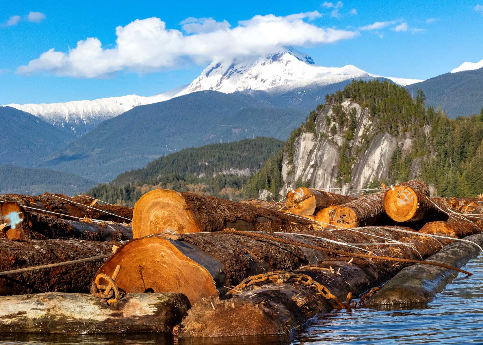 Log Booms in Howe Sound Near Squamish