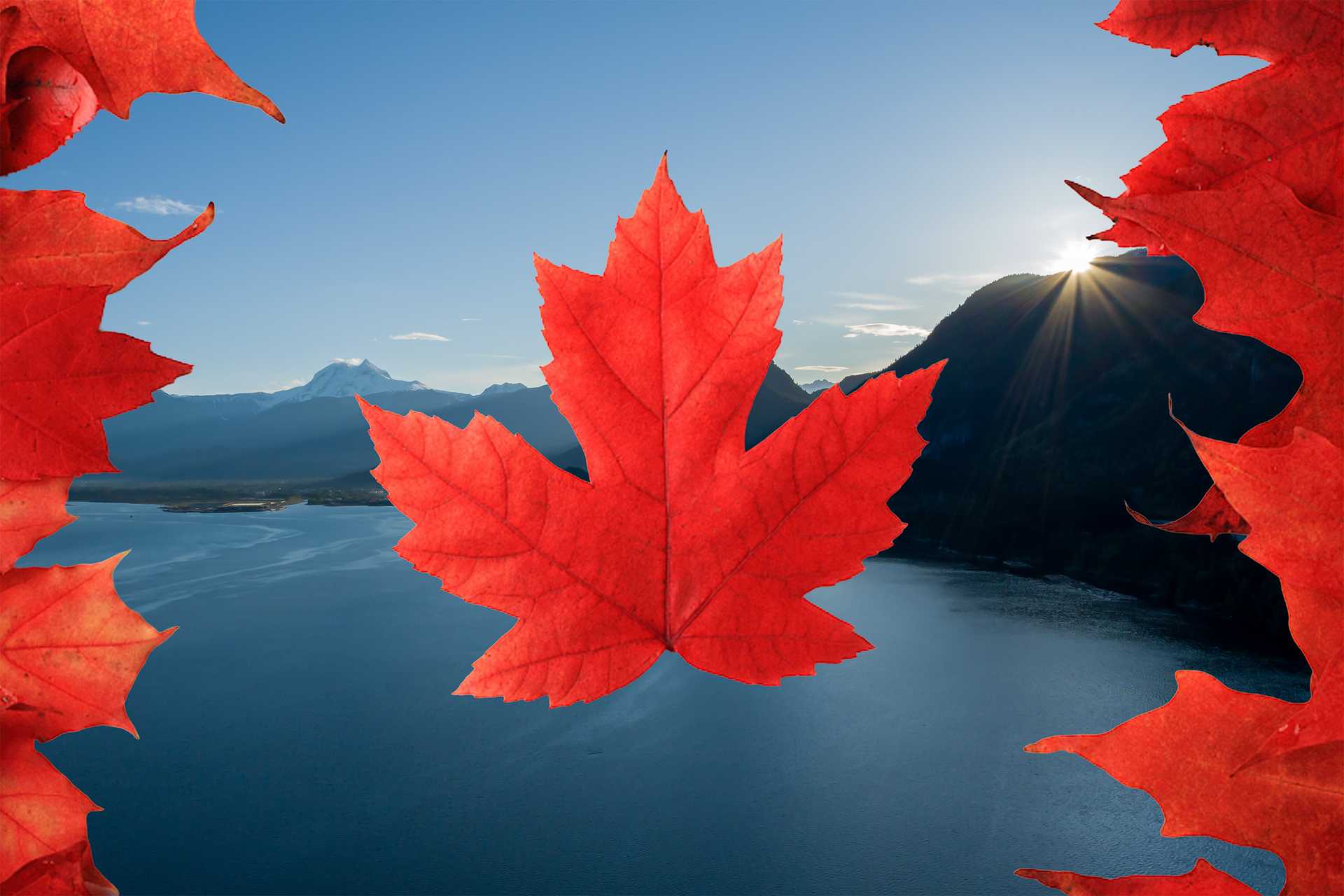 Canada Day Sailing Tours